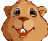 Whack a Groundhog