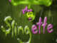 Slingette